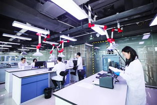 專訪悅刻CEO汪瑩 以技術為槳，向世界發出中國聲音