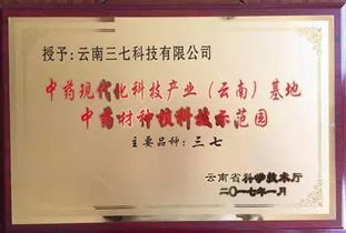 集團(tuán)旗下三七科技榮膺中藥材領(lǐng)域兩項(xiàng)權(quán)威認(rèn)定，技術(shù)咨詢助力中草藥產(chǎn)業(yè)高質(zhì)量發(fā)展