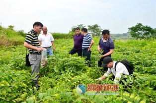 科技賦能產(chǎn)業(yè)，專家調(diào)研助力邵東中藥材基地發(fā)展