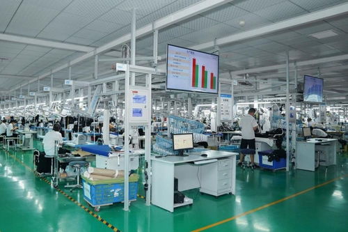 李婷 又要保就業(yè)又要數字化,服裝產業(yè)升級難在哪里